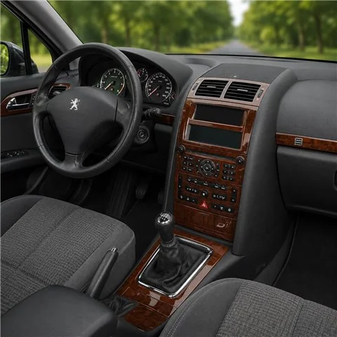 Peugeot 407 2005-2010 kit cruscotto 3D, 11 pezzi