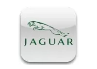 Kit cruscotto Jaguar | Interni auto Cruscotto Legno