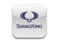 Kit cruscotto SsangYong | Interni auto Cruscotto Legno